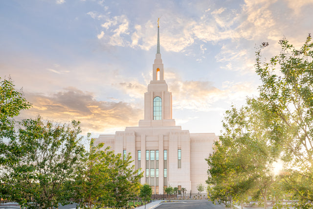 The Red Cliffs Utah Temple between the trees.