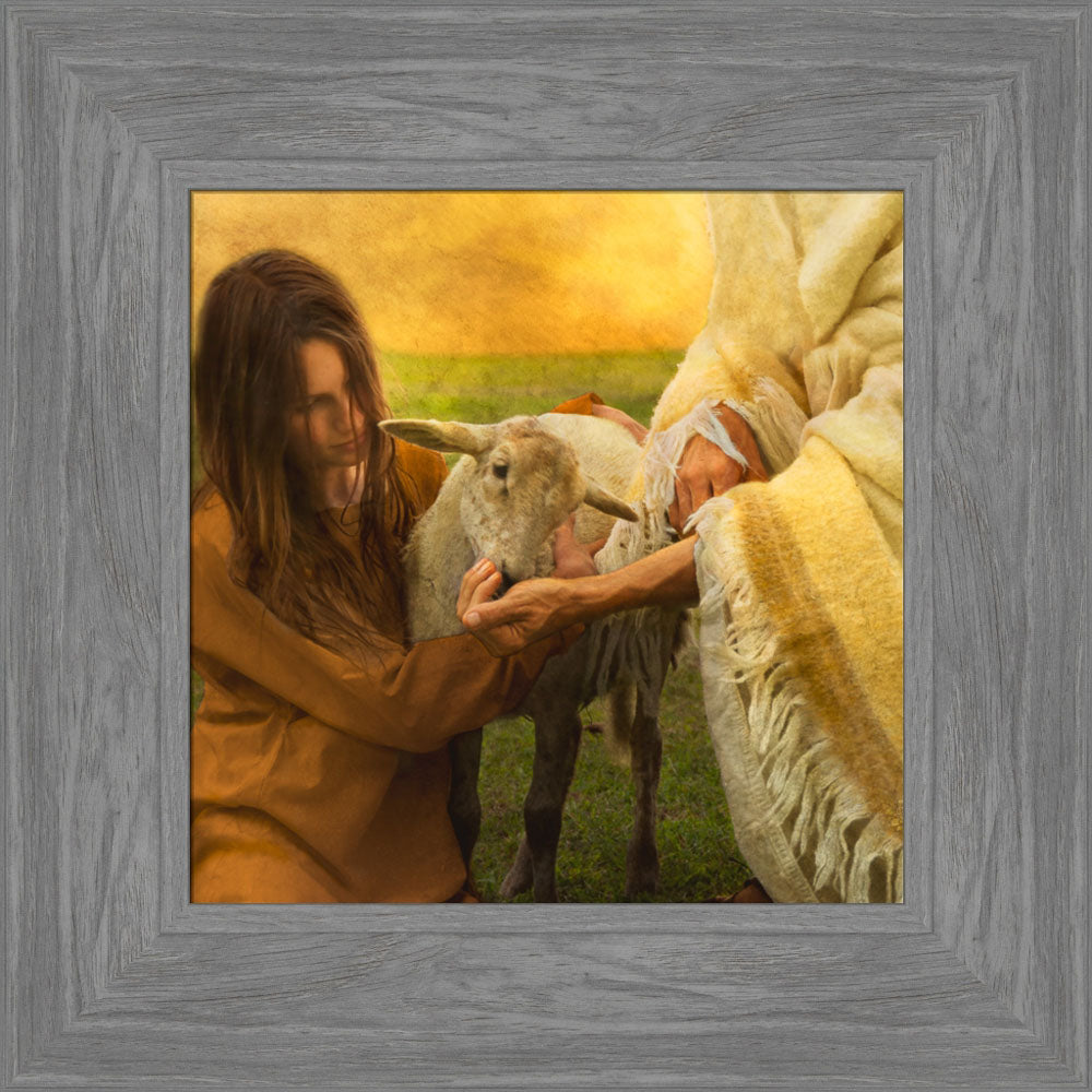 Feed My Lambs by Eva Koleva Timothy