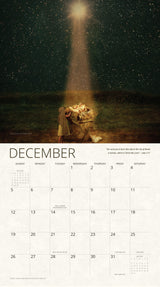 In The Arms of His Love Eva Koleva Timothy 2027 Calendar