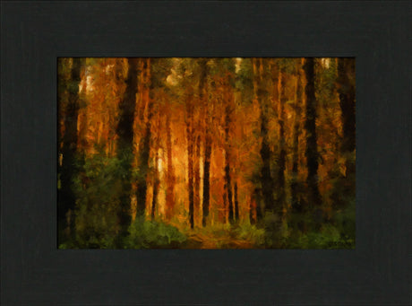 Palava Valo by Greg Collins