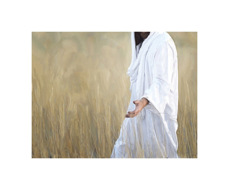 The Gatherer
