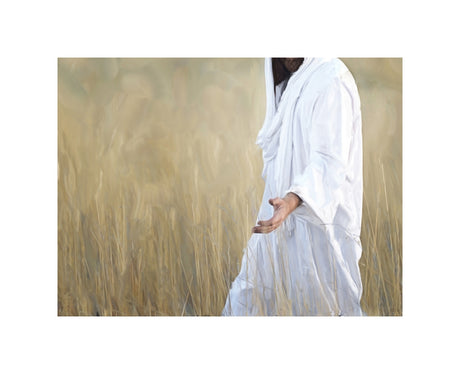 The Gatherer