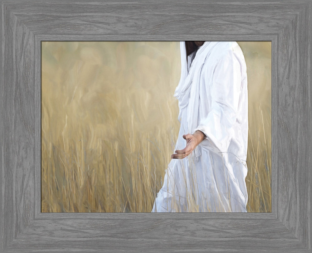 The Gatherer - framed giclee canvas