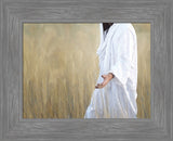 The Gatherer - framed giclee canvas