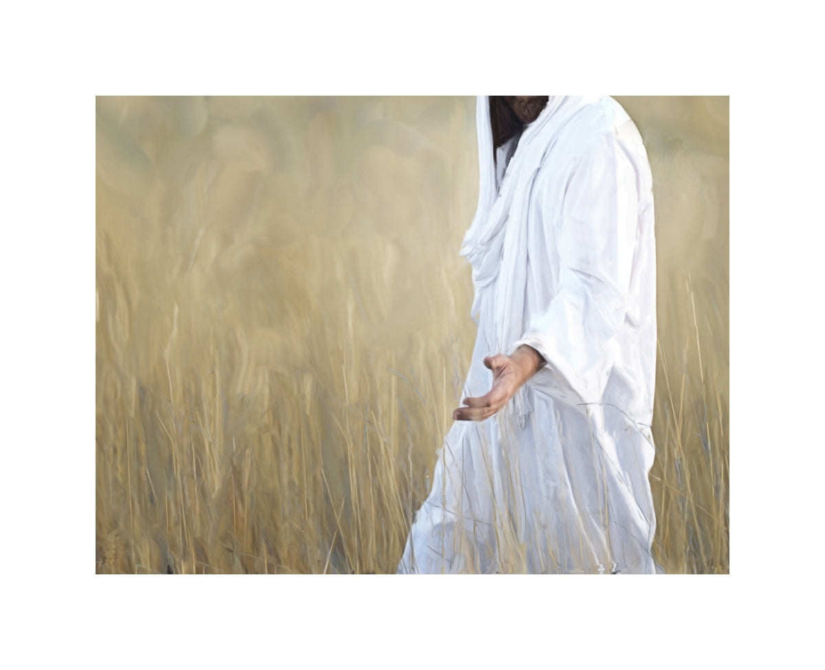 The Gatherer