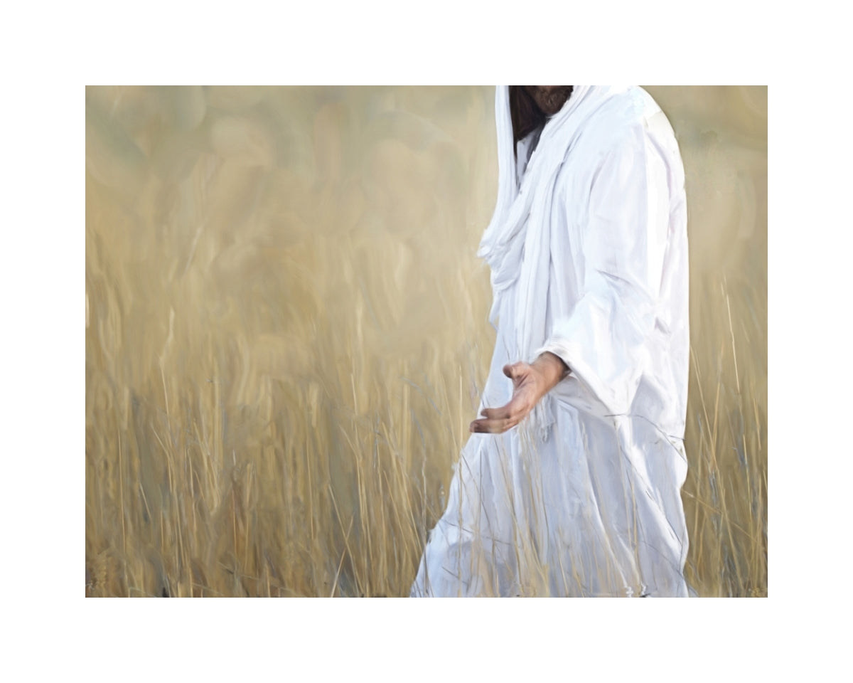 The Gatherer