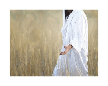 The Gatherer