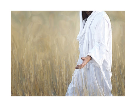The Gatherer