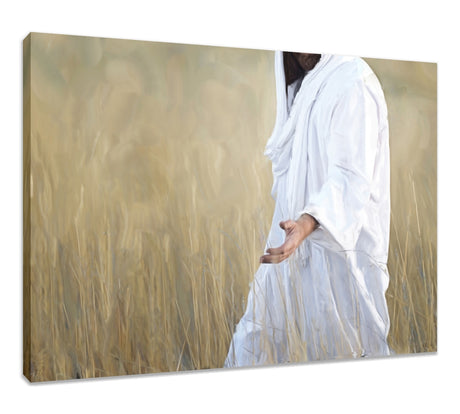 The Gatherer