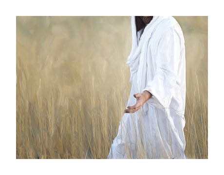The Gatherer