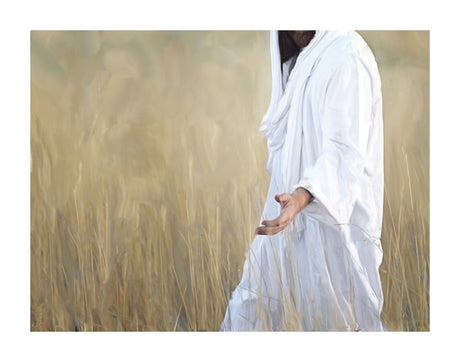 The Gatherer