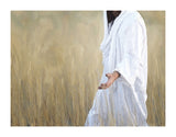 The Gatherer