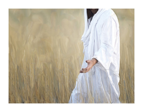 The Gatherer