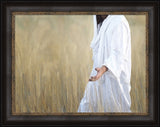 The Gatherer - framed giclee canvas