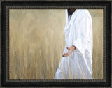 The Gatherer - framed giclee canvas