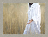 The Gatherer - framed giclee canvas