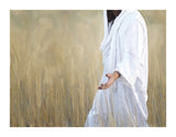 The Gatherer