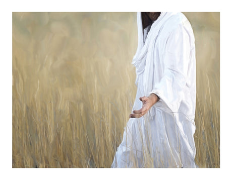The Gatherer