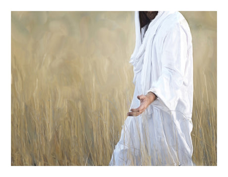 The Gatherer