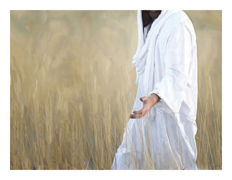 The Gatherer