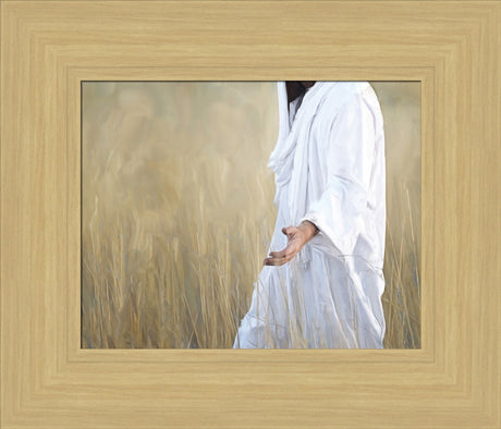 The Gatherer - framed giclee canvas