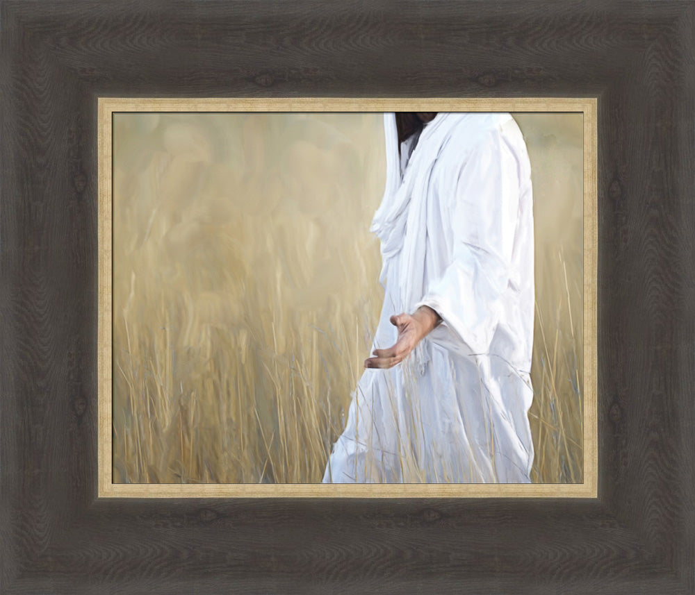 The Gatherer - framed giclee canvas