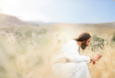 Jesus Christ inspects the stalks of wheat in a field.