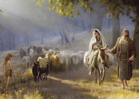 Journey To Bethlehem