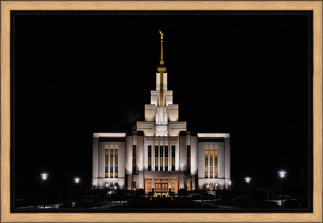 Saratoga Springs Temple - A Light in the Darkness