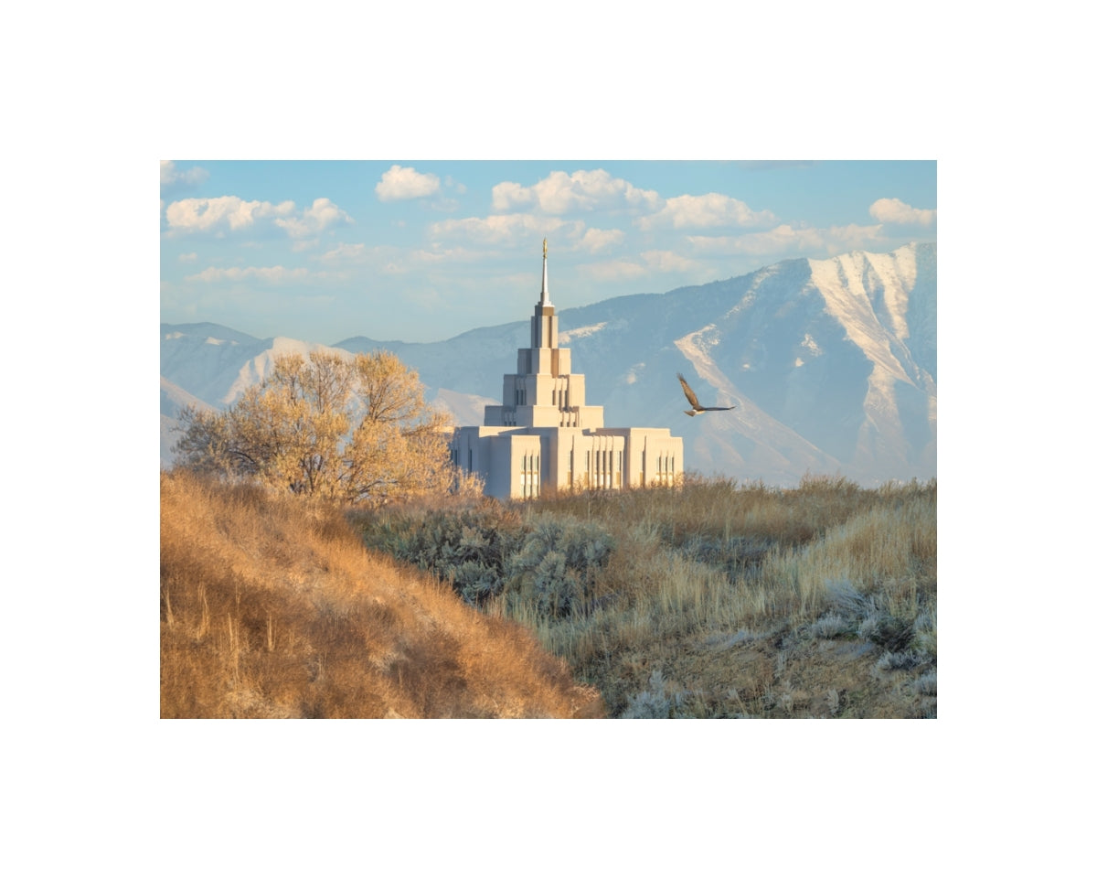 Saratoga Springs Temple - Upon His Wings