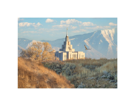 Saratoga Springs Temple - Upon His Wings