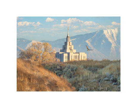 Saratoga Springs Temple - Upon His Wings