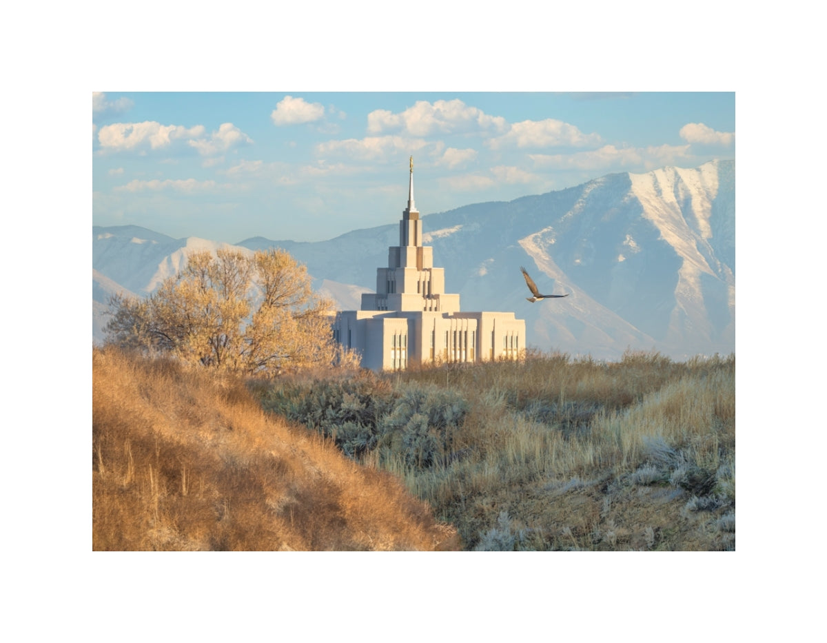 Saratoga Springs Temple - Upon His Wings