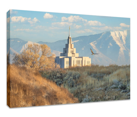 Saratoga Springs Temple - Upon His Wings