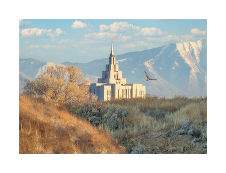 Saratoga Springs Temple - Upon His Wings