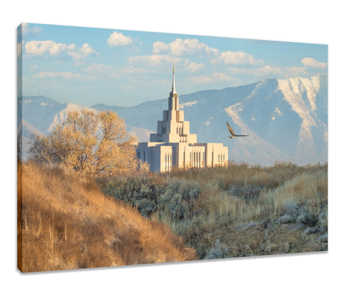 Saratoga Springs Temple - Upon His Wings