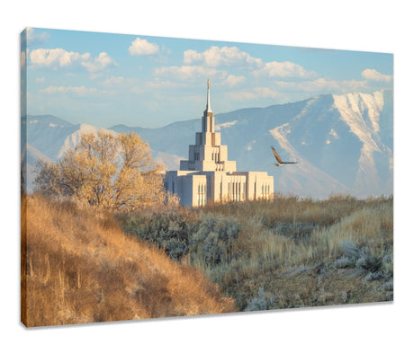 Saratoga Springs Temple - Upon His Wings