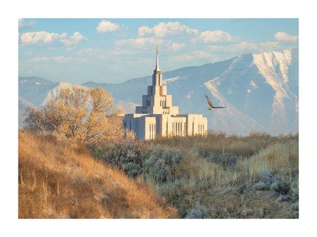 Saratoga Springs Temple - Upon His Wings