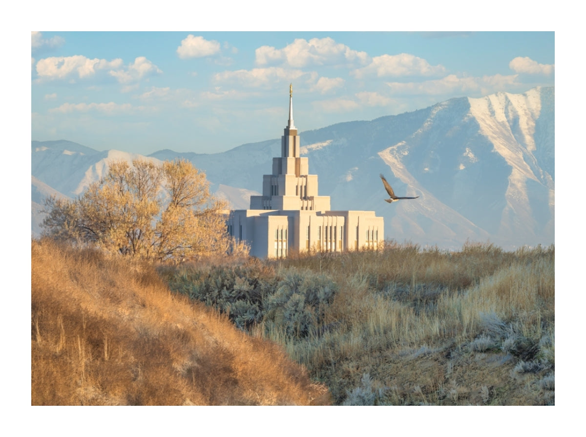 Saratoga Springs Temple - Upon His Wings
