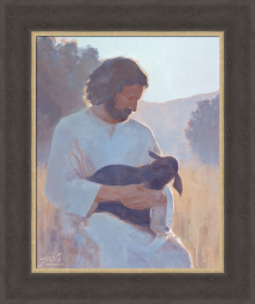 The Shepherd's Care