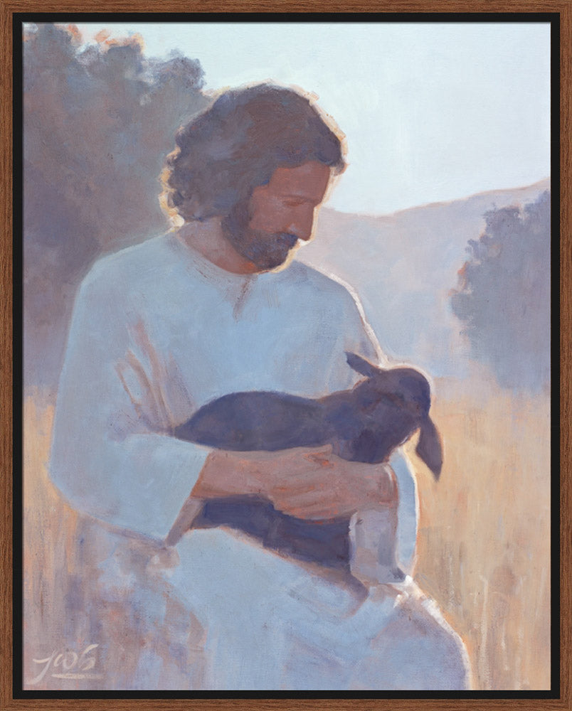 The Shepherd's Care