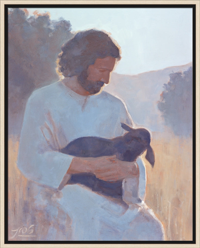 The Shepherd's Care