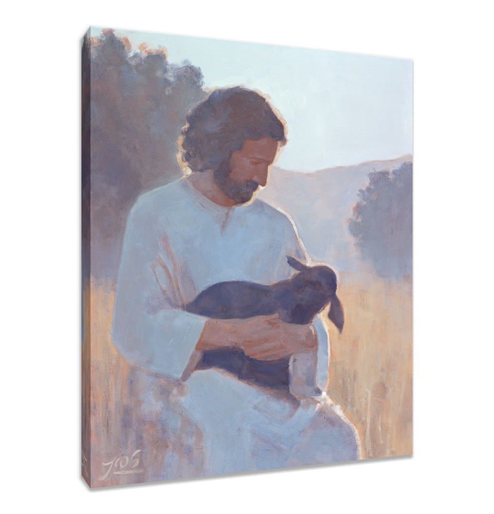 The Shepherd's Care