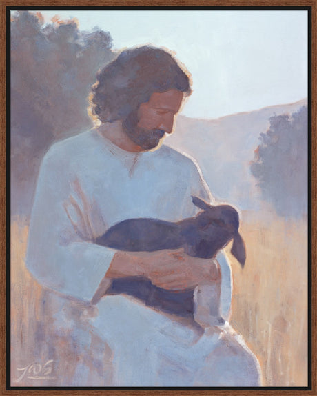 The Shepherd's Care