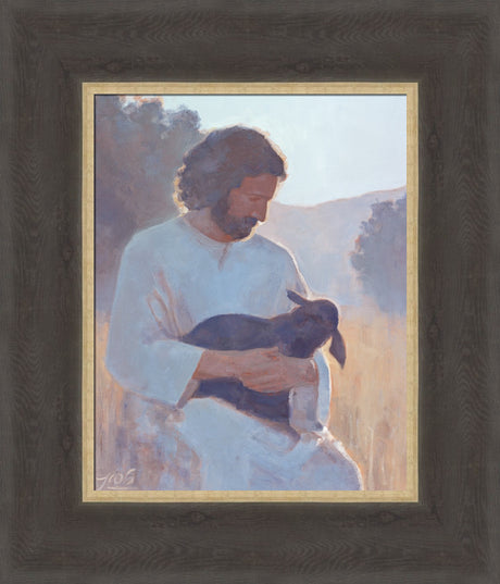 The Shepherd's Care
