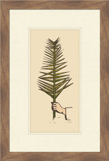 Framed artwork of a hand holding a palm leaf on a beige background