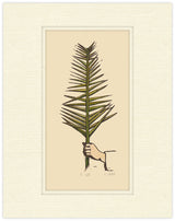 Framed botanical illustration of a palm leaf on a beige background