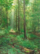 Joseph Smith in the Sacred Grove in a pillar of light.