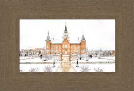 Provo City Center Temple - Snowstorm