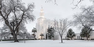 St. George Temple and surrounding trees blanketed in snow.